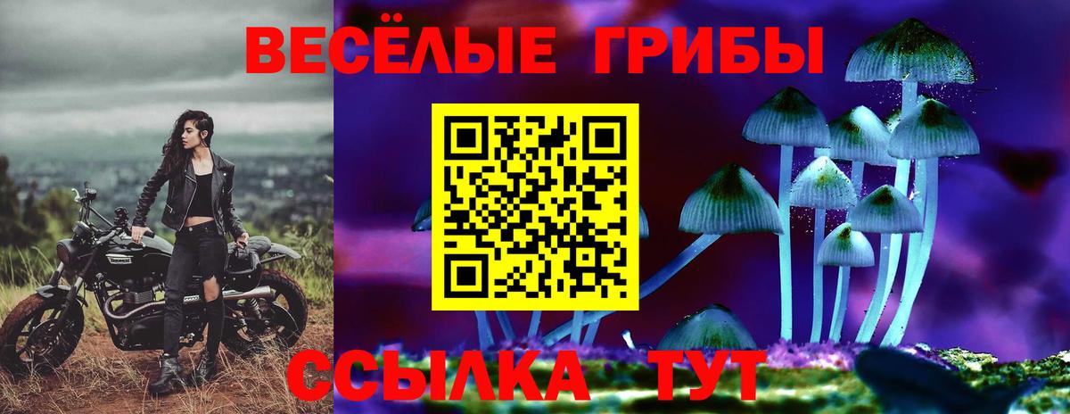 Рубцовск  Псилоцибиновые грибы прущие грибы  Вход с VPN 